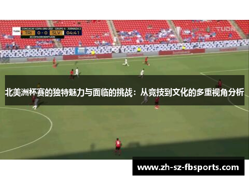 北美洲杯赛的独特魅力与面临的挑战：从竞技到文化的多重视角分析