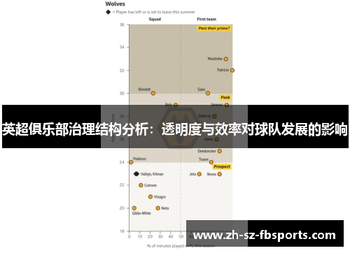 英超俱乐部治理结构分析:透明度与效率对球队发展的影响 英超俱乐部治理结构分析:透明度与效率对球队发展的影响