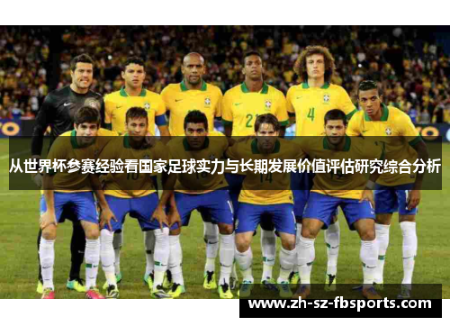 从世界杯参赛经验看国家足球实力与长期发展价值评估研究综合分析