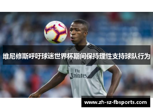 维尼修斯呼吁球迷世界杯期间保持理性支持球队行为