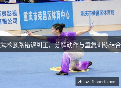 武术套路错误纠正,分解动作与重复训练结合 武术套路错误纠正,分解动作与重复训练结合